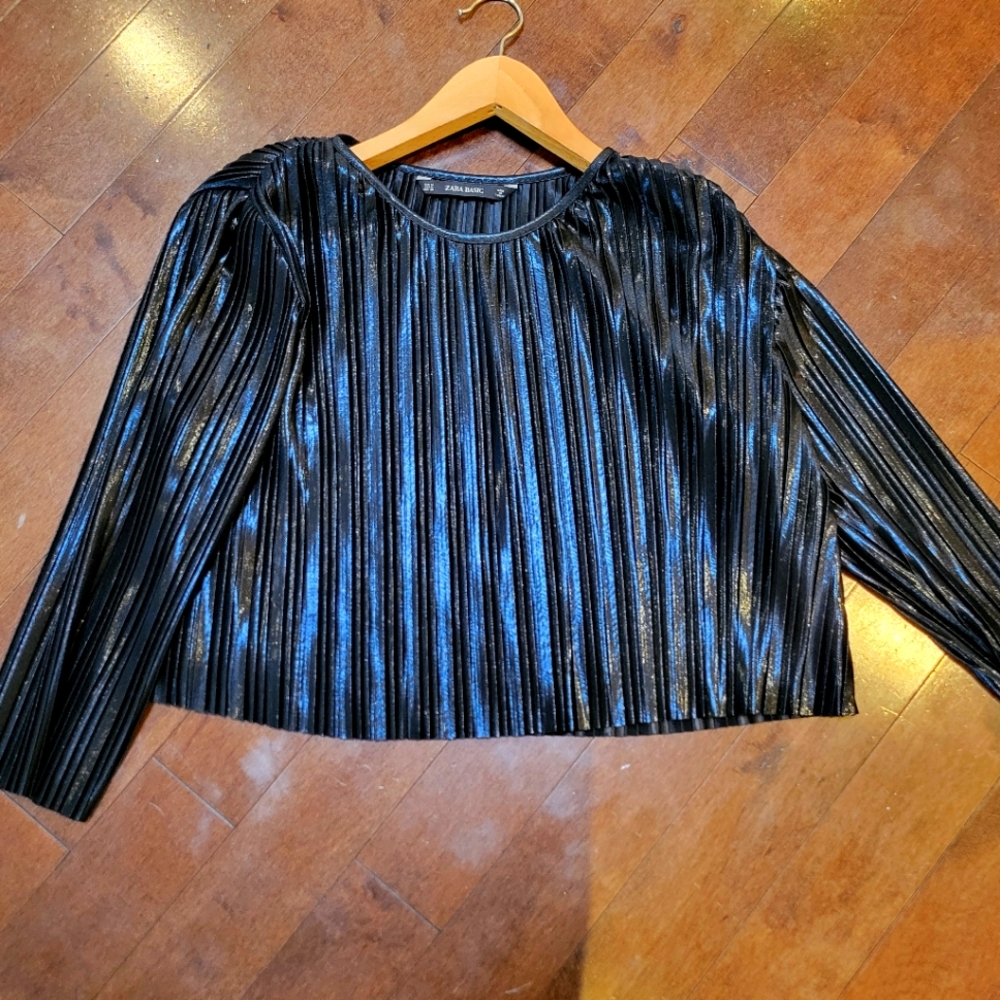 Zara shiny top